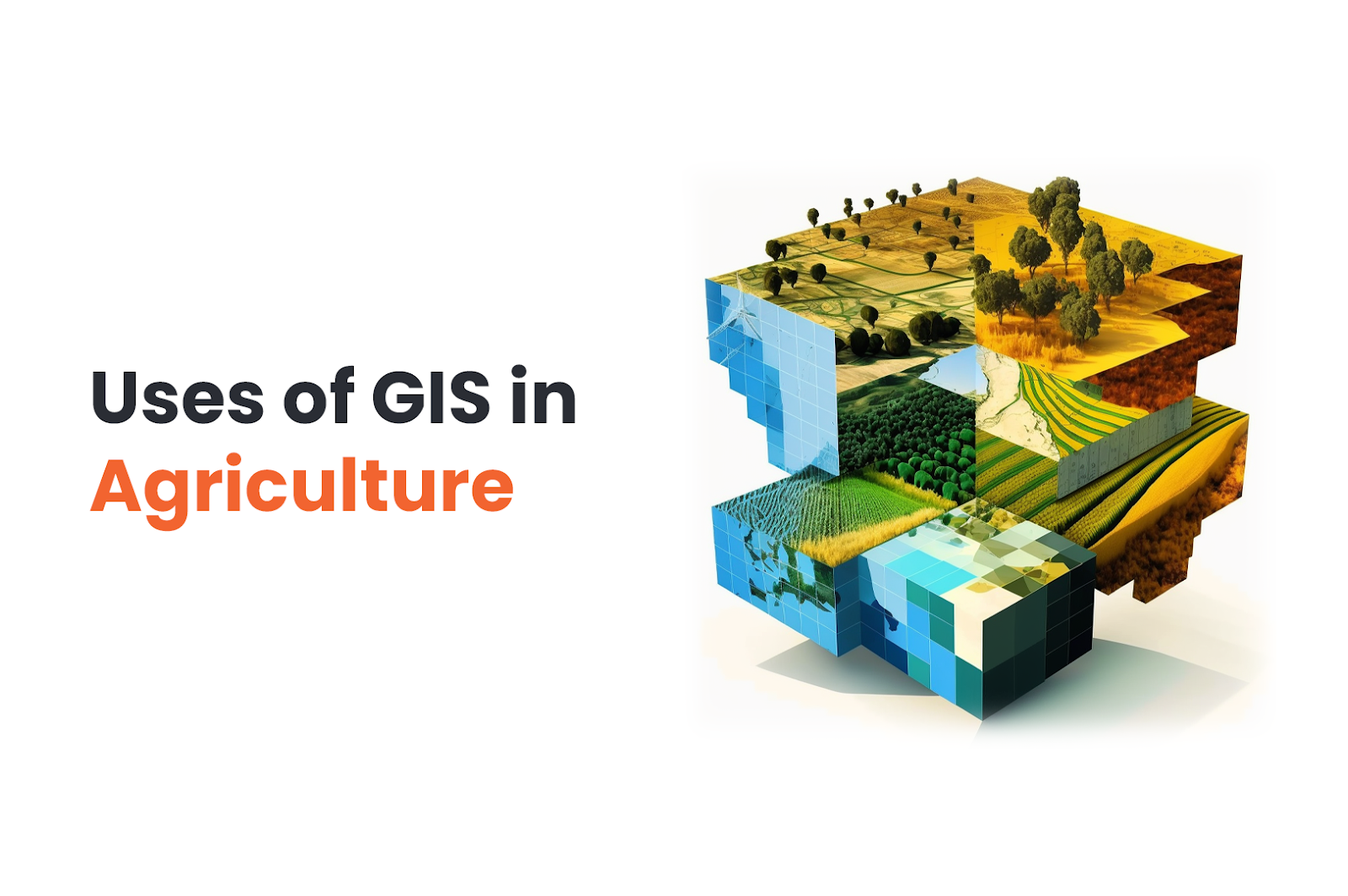 How Using GIS in Agriculture Can Improve Your Crops